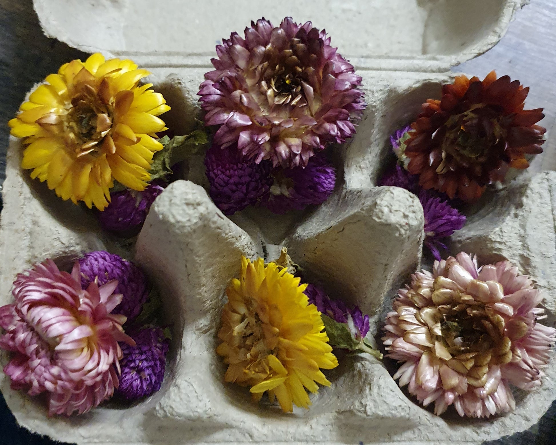Chrysanthemum and Amaranth Dried Flowers - Keipach