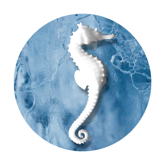 Seahorse Large Insert - Keipach