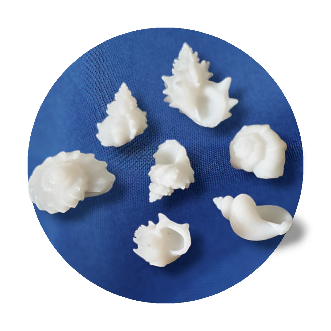 Seashell Miniature Inserts - Keipach