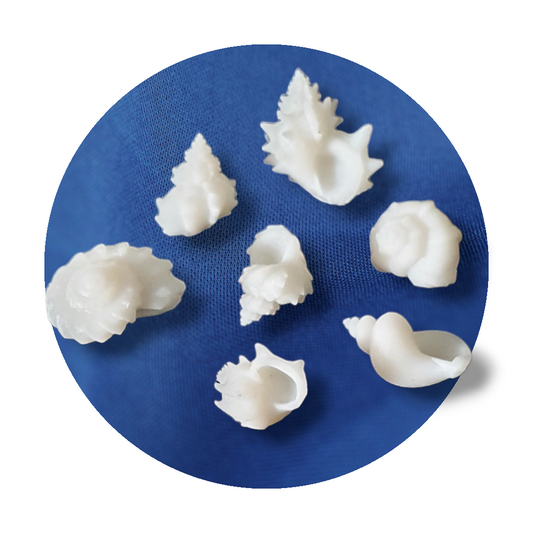 Seashell Miniature Inserts - Keipach