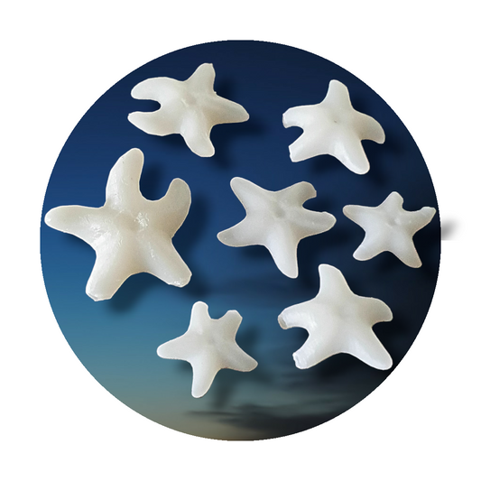 Starfish Miniature Inserts - Keipach