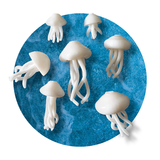 Jellyfish Miniature Inserts - Keipach