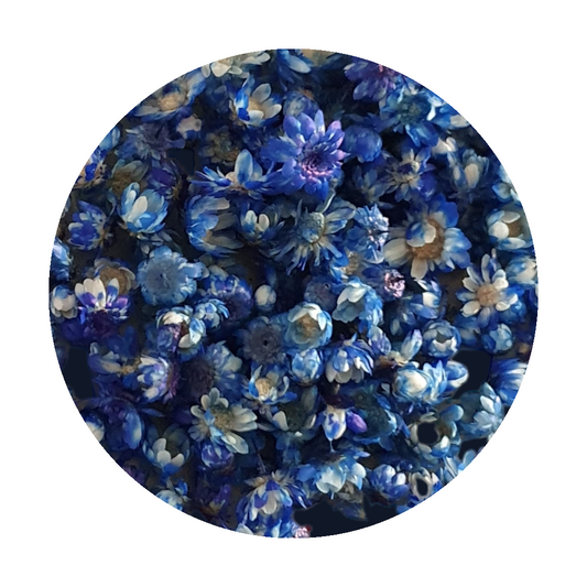 Dried Miniature Flowers - Blue - Keipach