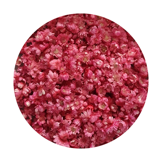 Dried Miniature Flowers - Pink - Keipach