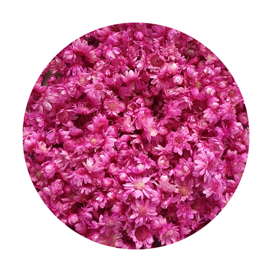 Dried Miniature Flowers - Fuchsia - Keipach