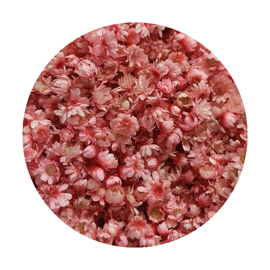 Dried Miniature Flowers - Light Pink - Keipach
