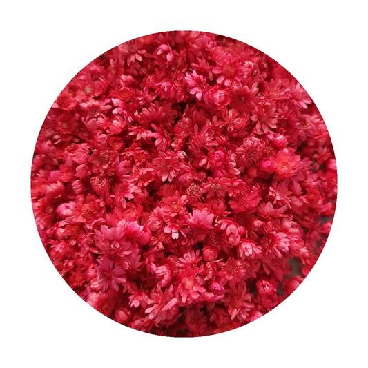 Dried Miniature Flowers - Red - Keipach