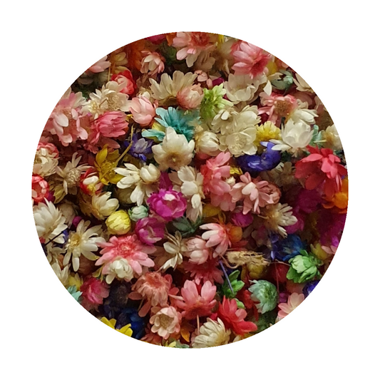 Dried Miniature Flowers - Multicolor - Keipach